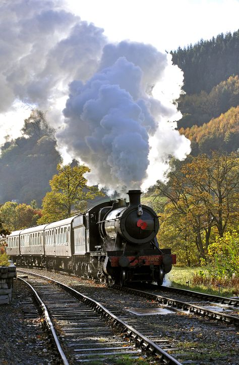 Steam Trains Photography, Track Pictures, Old Steam Train, Steam Engine Trains, Scenic Railroads, Steam Railway, In Remembrance, Railroad Photography, Train Art