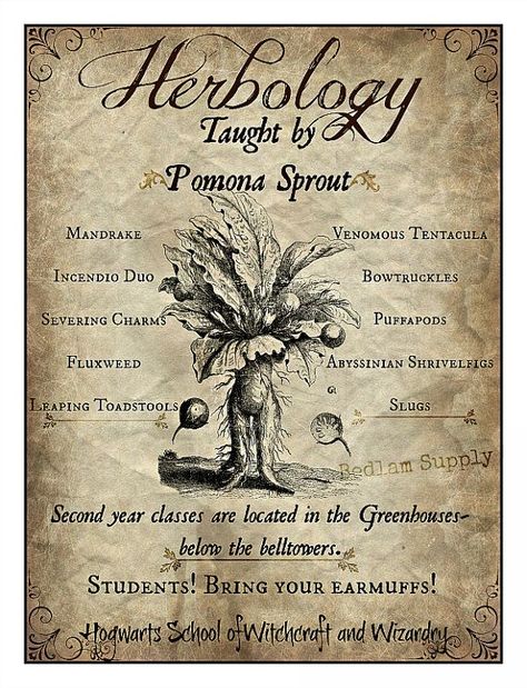 Herbology Print, Professor Sprout, Harry Potter Herbology, Hogwarts Christmas, Harry Potter Classroom, Harry Potter Printables, Harry Potter Bedroom, Festa Harry Potter, Theme Harry Potter