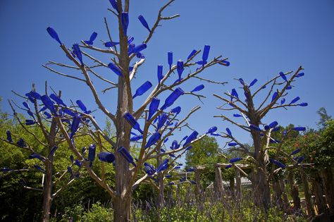 Wooden Fence Posts, Bottle Trees, Colored Glass Bottles, Witch Bottles, Bottle Tree, Blue Glass Bottles, Folk Magic, Live Tree, Crape Myrtle