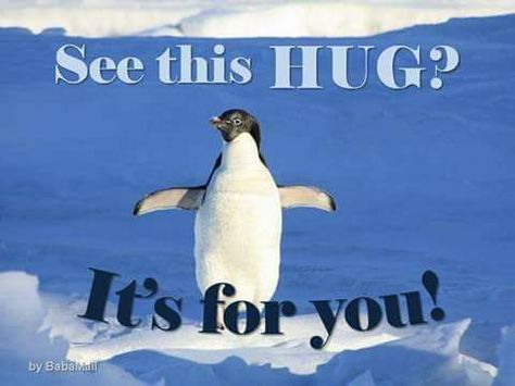 I Love Penguins Hug Emoticon, Hug Meme, Penguin Meme, Penguin Hug, Big Hugs For You, Virtual Hugs, Compliment Cards, Cute Hug, Birthday Memes