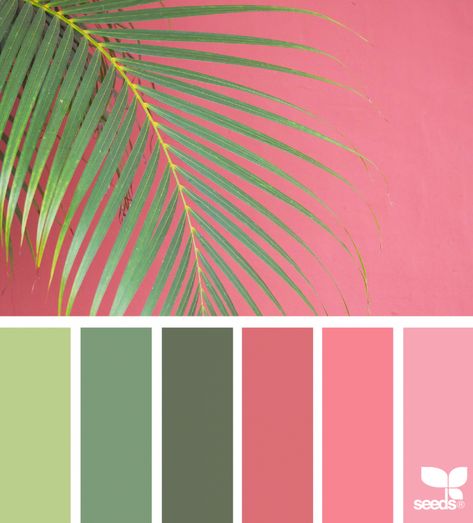 Color Frond | design seeds | Bloglovin’ Flamingo Pink Color Palette, Flamingo Color Palette, Pink Green Color Palette, Pink And Green Color Palette, Rainbow Color Palette, Flamingo Color, Seeds Color, Paint Color Schemes, Color Schemes Colour Palettes