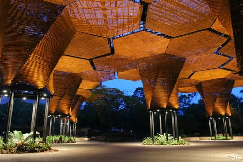 Image result for Orquideorama Iwan Baan, Tree Structure, Canopy Architecture, Wooden Canopy, Backyard Canopy, Wood Arch, Garden Canopy, Eco Architecture, Wood Architecture