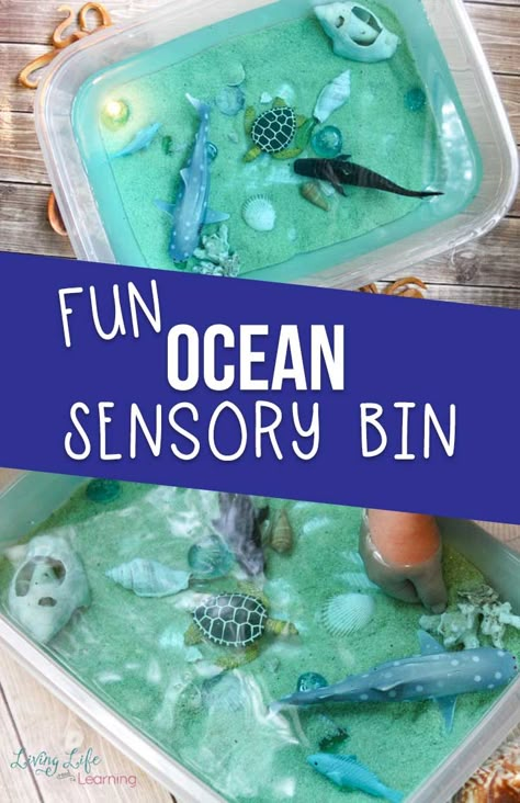 Diy Ocean Sensory Bin, Sea Animals Toddlers Activities, Seashell Sensory Bin, Ocean Sensory Table, Ocean Experiments, Aquarium For Kids, Animal Sensory Bin, Ocean Sensory Play, Activity Bins