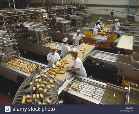 Bakery Factory, Dutch Bakery, Dough Kneading Machine, Bread Factory, Industrial Background, Homemade Croissants, Baker Shop, Small Bakery, How To Make Dough