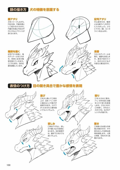 Dragonborn Face Reference, Dragonborn Body Reference, Dragonborn Dnd Drawing Base, Anthro Drawing Tutorial, Dragonborn Drawing Base, Dragonborn Poses, Dragon Horns Drawing Reference, Drawing Dragonborn, Dragon Fursona Base