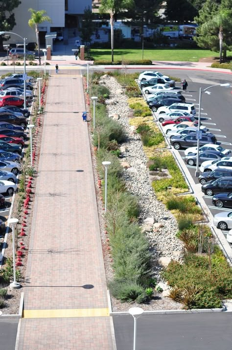 Another angle of the bioswale parking lot created by Lynn Capouya Landscape Architecture Parking Ideas, Parking Plan, Build Outdoor Kitchen, Easy Landscaping, Landscaping Supplies, Water Management, Rain Garden, Parking Design, Landscaping Tips