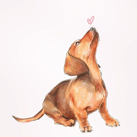 Wiener Dog Drawing, Dachshund Watercolor, Daschund Illustration, Daschund Art, Dachshund Drawing, Dachshund Painting, Arte Dachshund, Dachshund Illustration, Doxie Art