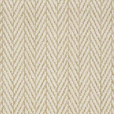 Westchester nylon carpets that look like sisal Deep Carpet Cleaning, Sisal Carpet, Shaw Carpet, Natural Carpet, Carpet Ideas, Carpet Trends, Carpet Samples, Brown Carpet, Nylon Carpet