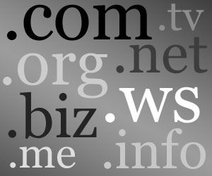 How to Get Your Own Domain Name, Part 1 -- by Jacob Share for the Personal Branding Blog Domain Name Ideas, Website Names, Blog Names, Free Web Hosting, Guest Blogging, Seo Tips, Blog Tips, Money Saving Tips, Personal Branding