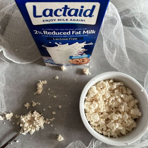 Homemade Lactose Free Cottage Cheese - Missouri Girl Home Lactose Free Cottage Cheese, Lactose Free Dairy Products, Homemade Cottage Cheese, Homemade Sour Cream, Cheese Brands, Lactose Free Milk, Cottage Cheese Recipes, Food Thermometer, Lactose Intolerant