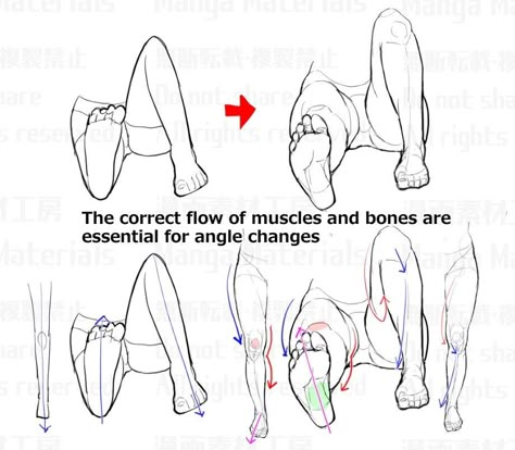 Drawing Legs, Anatomy Sketches, Poses References, Anatomy Drawing, Body Drawing, Guided Drawing, Anatomy Reference, Drawing Lessons, Anatomy Art