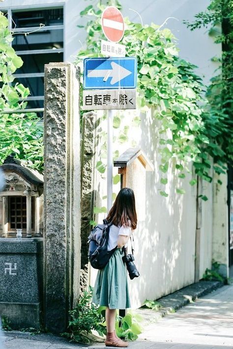 숲 사진, Japanese Photography, Japan Street, Japan Photography, Japan Aesthetic, Aesthetic Japan, Japan Photo, Japanese Aesthetic, Trik Fotografi