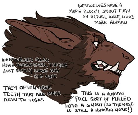 Werewolf Creature Design, Werewolf Face Drawing, Werewolf Worldbuilding, Cool Werewolf Art, Werewolf Teeth Drawing, How To Draw Werewolves, Wolf Man Character Design, Cute Werewolf Art, Lycanthrope Character Design