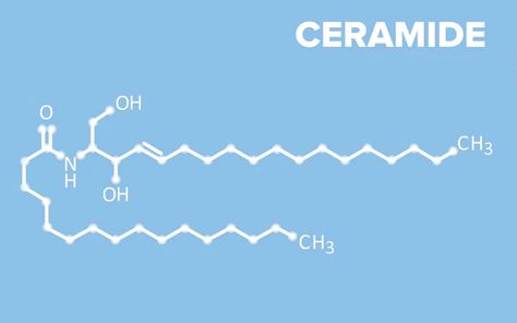 If there is one ingredient you can’t ignore while purchasing skincare products, it is ceramides. These natural lipids found in your skin keep it soft, plump and wrinkle-free. Thus, SkinKraft explains how you can include these compounds to get rid of several skin concerns. Ceramides Benefits, Lipid Profile, Cleansing Routine, Red Patch, Anti Aging Ingredients, Clogged Pores, Skin Concern, Skin Conditions, Radiant Skin