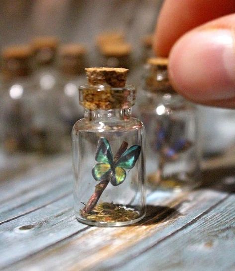 Amazon.com: MaxMau 48pcs 2ml Mini Glass Jars with Cork Stoppers Eye Screws Funnel,Small Glass Bottles Tiny Vials for Arts Crafts DIY Projects Wedding Party Favors : Home & Kitchen Diy Mini Jar Crafts, Cork Screw Crafts, Mini Jar Crafts, Diy Mini Glass Bottle Ideas, Mini Glass Bottle Crafts Resin, Tiny Glass Bottle Ideas Diy, Tiny Jars Ideas Mini Bottles, Tiny Bottle Crafts Diy Glass Vials, Tiny Jars