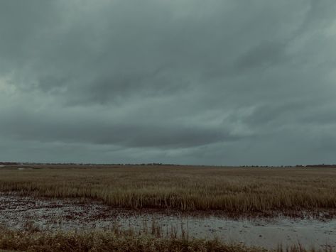 Marshes Aesthetic, Marshland Aesthetic, Marsh Aesthetic, Fog Aesthetic, Dusk Summer, Read Aesthetic, Aesthetic Nostalgia, Crawdads Sing, Medium Format Photography