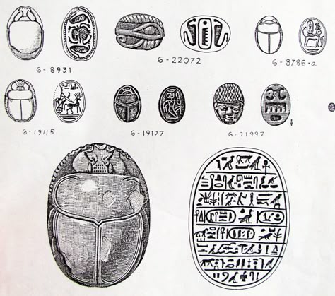 Gurney.Scarabs Scarab Beetle Egypt, Egypt Scarab, Egyptian Scarab Beetle, James Gurney, Egyptian Beetle, Egyptian Drawings, Ancient Egyptian Jewelry, Amenhotep Iii, Egyptian Design