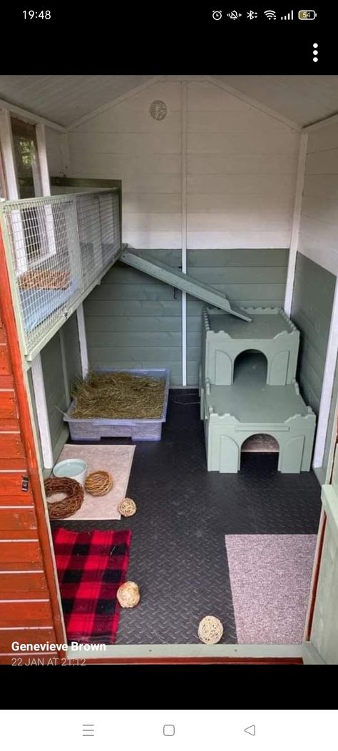 Rabbit Sheds Ideas, Rabbit Shed Ideas Diy, Bunny Shed Ideas, Outdoor Bunny Enclosure, Rabbit Shed Ideas, Bunny House Ideas, Rabbit Enclosure Ideas, Ferret House, Rabbit Cottage