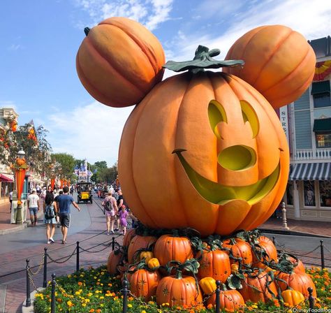 EVERYTHING Coming to Disneyland Resort for Halloween Time This Year! Disneyland Souvenirs, Halloween 2010, Disneyland World, Dulces Halloween, Disney Pumpkin, Hallowen Ideas, Disneyland Food, Mickey Pumpkin, Disneyland Halloween