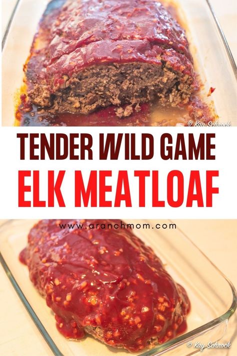 Tender Elk meatloaf recipe, can use any wild game! Antelope, deer, moose. Savory homemade sauce. Elk Meatloaf Recipes, Ground Elk Recipes, Elk Meatloaf, Elk Meat Recipes, Moose Recipes, Current Recipes, Moose Meat, Venison Meatballs, Elk Meat