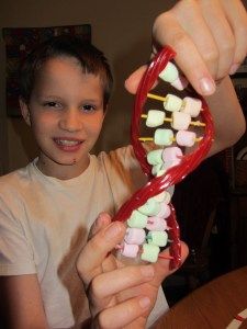 Niño jugando con el ADN de gominolas Apologia General Science, Science Labs, General Science, Science Reading, Edible Crafts, Summer Reading Program, Library Programs, History Of Science, Homeschool Science