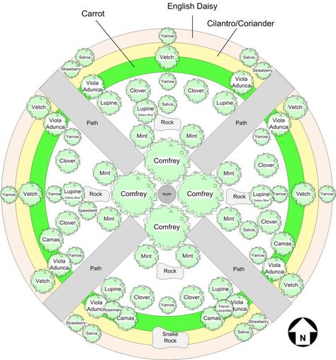 A Permaculture Idea... plant in Guilds, where each of the plants in the group provides value for each of the other plants in the group.  Enhancing the productivity and health of the entire Guild. Fruit Trees Garden Design, Tree Guild, Tree Garden Design, Garden Planning Layout, Fruit Tree Garden, Food Forest Garden, Areas Verdes, Permaculture Design, Permaculture Gardening