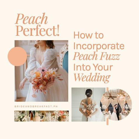 Bride and Breakfast Bride And Breakfast, Peach Fuzz, Event Styling, Your Special, Wedding Details, Get Inspired, Special Day, Romance, Color