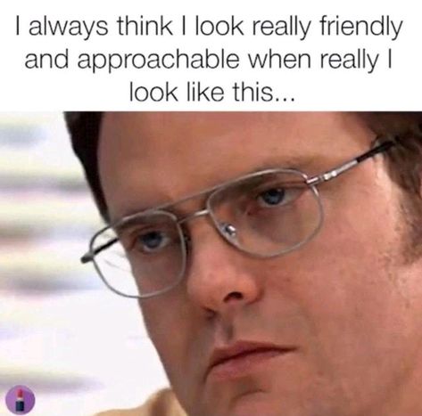 Office Memes Funny, The Office Memes, Office Jokes, Office Fan, Office Memes, Office Humor, Work Memes, Life Memes, Dundee