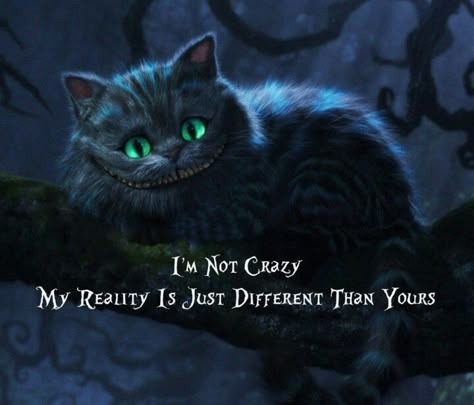 Tim Burton Quotes, Cheshire Cat Quotes, Alice In Wonderland Quotes, Tim Burton Movies, Go Ask Alice, Alice And Wonderland Quotes, Tim Burton Movie, Wonderland Quotes, We're All Mad Here