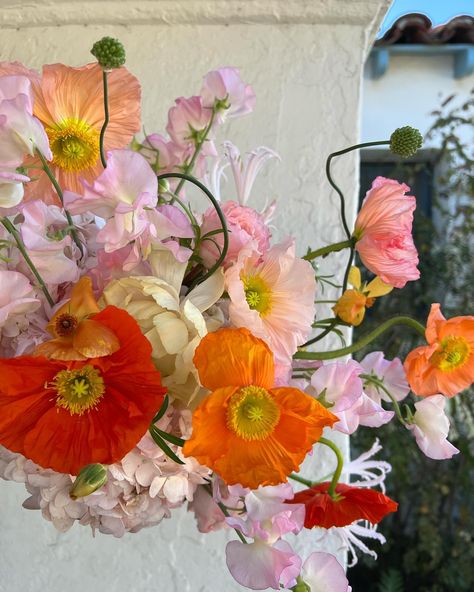 Just a happy spring poppy bouquet for you Poppies Flower Bouquet, Red Poppy Bouquet, Lavender And Poppy Bouquet, Blue Poppy Wedding Bouquet, Red Poppy Flower Bouquet, Poppy Wedding Bouquet, Poppy Flower Bouquet, Poppy Bouquet, Wild Poppies