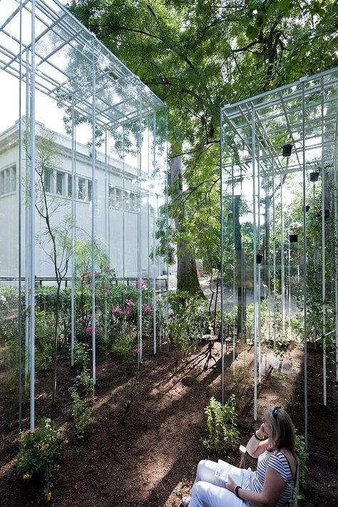 Junya Ishigami, Best Greenhouse, Garden Pavilion, Japanese Architect, Green Architecture, Venice Biennale, Japanese Architecture, Urban Farming, Landscape Architecture