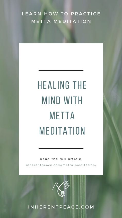 Metta meditation is a beautiful way to heal your mind so fear, sadness, and pain melt away. Visit our blog to read the article, and try this practice today with our guided meditation.  #mettameditation #metta #meditation #mindfulness #lovingkindness #lovingkindnessmeditation #meditations #meditationpractice Metta Meditation Script, Meta Meditation, Meditation For Healing, Practicing Meditation, Healing The Mind, Metta Meditation, Meditation Symbols, January Challenge, Meditation Scripts