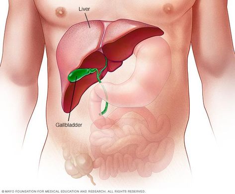 Gilbert's Syndrome, Daycare Services, Clean Liver, Medicine Pharmacy, Liver Damage, Doctor Consultation, Liver Detox, The Liver, Mayo Clinic