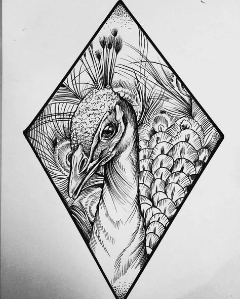 Peacock Sketch, Stippling Drawing, Peacock Drawing, Peacock Tattoo, Pen Art Drawings, Peacock Art, Desenho Tattoo, Mandala Design Art, Doodle Art Designs