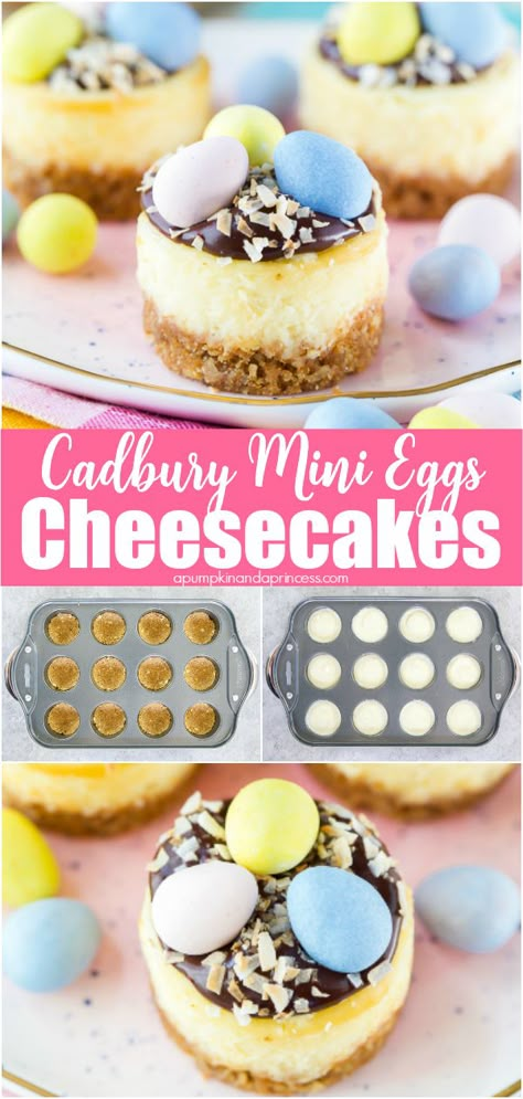 Easter Mini Cheesecakes, Cadbury Recipes, Cheesecake Easter, Cadbury Mini Eggs, Espresso Cake, Mini Cheesecake Recipes, Easter Desserts Recipes, Cheesecake Chocolate, Easter Baking