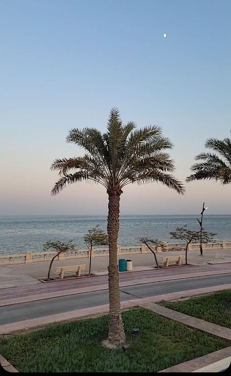 Al Khobar Corniche, beach. Al Khobar, Guy Pictures, Travel, Pins, Quick Saves