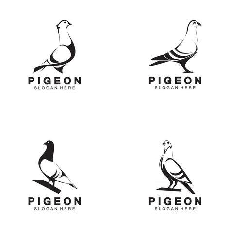 Pigeon bird logo vector icon illustration design template Pigeon Logo Design, Pigeon Logo, White Pigeon, Pigeon Bird, Bird Logo, Vector Icons Illustration, Bird Logos, Free Vectors, Icon Illustration