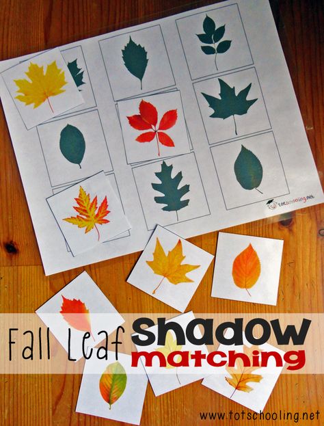 Fall Leaf Shadow Matching: Free Printable from Totschooling Fall Leaves Activities, Leaf Shadow, Shadow Matching, Fall Preschool Activities, Fall Lessons, Autumn Activities For Kids, Fun Fall Activities, Pre K Activities, Fall Preschool