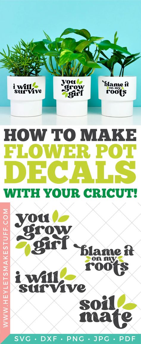 Cricut Flower Pot, Flower Puns, Plant Puns, Plant Pot Design, Plant Pot Diy, Flower Pot Design, Cricut Tips, Diy Flower Pots, Plant Display