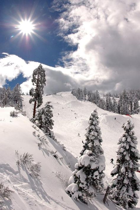 Big Bear CA in the winter. So beautiful, near  Arrowbear lake and the Get Lost Inn, a quaint cozy cabin in the San Bernardino mountains of Southern California. Great location for hiking in the summer and skiing in the winter. Book your own stay at https://www.airbnb.com/rooms/4638596 http://www.facebook.com/getlostinn Snow Valley, Big Bear California, Lake Arrowhead, Big Bear Lake, Bear Lake, Winter Magic, Winter Scenery, Winter Beauty, Snow Scenes