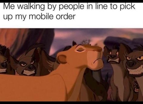 Funny Disney Memes, Memes Br, Fresh Memes, Old Disney, Waiting In Line, Disney Memes, Funny Animal Memes, The Lion King, Disney Funny