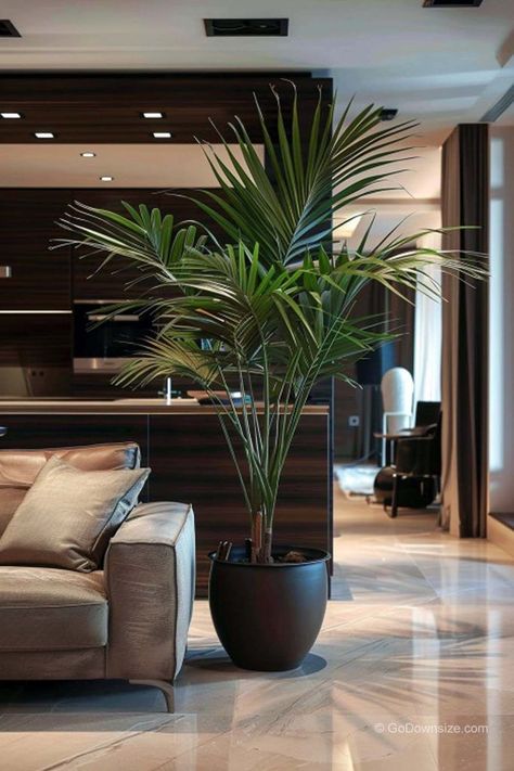 In another example, here’s a sophisticated and modern home with rich dark wood accents in its interior. Dark Wood Accents, Indoor Palm, Indoor Palm Trees, Indoor Palms, Feature Wall Living Room, Canal House, Lifestyle Ideas, Plant Decor Indoor, Future Apartment