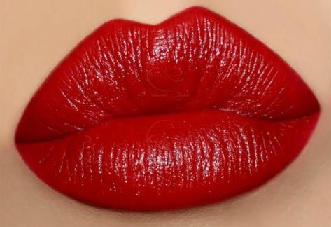 Blue Based Red Lipstick, Red Lipstick Swatches, Lip Kiss, Red Lipstick Shades, Best Lipstick Color, Lip Art Makeup, Bright Red Lipstick, Lipstick Designs, Beautiful Lipstick