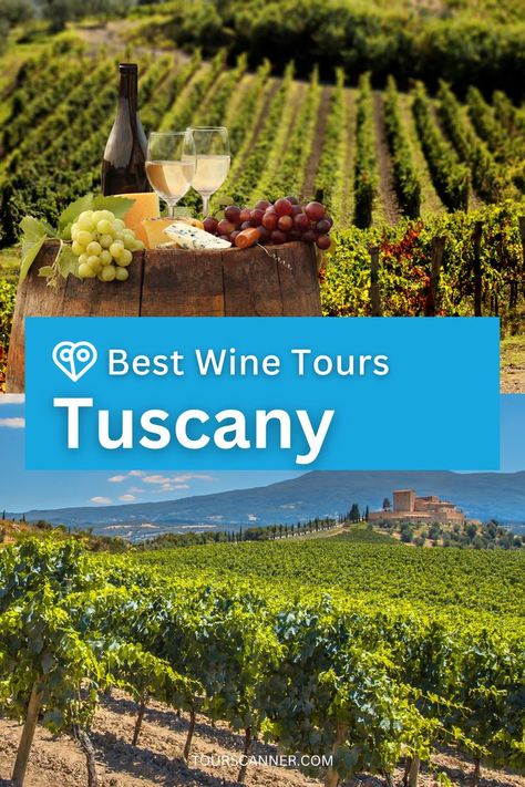 Indulge in the essence of Tuscany's vineyard treasures with the best wine tours! 🍇🍷 Our curated selection promises a sensory journey through picturesque landscapes and exquisite wines. Ready to savor the taste of Tuscany? Check our website for the complete list of the best wine tours in Tuscany. 👉🔗 #TuscanWineAdventure #WineToursInTuscany #TasteOfItaly Tuscany Wine Tour, Tuscany Vineyard, Tuscany Wine, Things To Do In Italy, Best Wine, Book Things, Wine Tour, The Taste, Wine Cooler