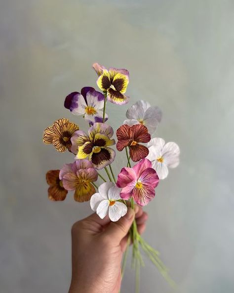 Bouquet Of Pansies, Paper Pansy, Orange Pansy Flower, Pansy Bouquet, Pansies Botanical Illustration, Pansy Botanical Illustration, Wild Pansy Drawing, Floral Cake Design, Viola Flower