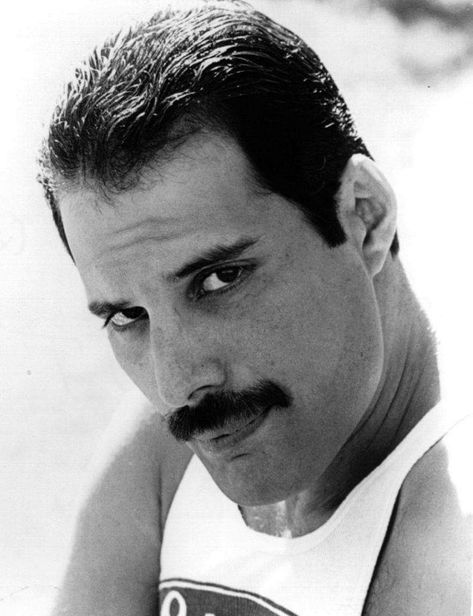 Don't look at me like this 😶 Freddie My Love, King Of Queens, Freddy Mercury, Roger Taylor, Queen Pictures, Queen Freddie Mercury, Portrait Photos, John Deacon, Brian May