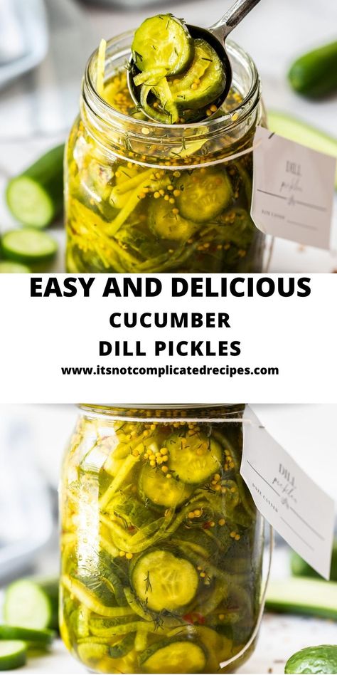 Homemade Cucumber Dill Pickles – a delicious addition to your kitchen. With this recipe, I will show you how easy it is to make your own at home. A balanced mix of vinegar, sugar, spices and dill produces a mild, slightly sweet pickle. You will find many ways to use these crunchy, tangy Dill Pickles. Easy Dill Pickle Recipe, Pickle Recipes Homemade, Bread And Butter Pickles, Dill Pickle Recipe, Pickled Cucumbers, Butter Pickles, Cucumber Dill, Cucumbers And Onions, Small Cucumber