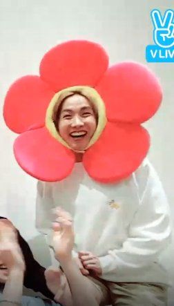 Jhope Flower, Bts Derp Faces, Hope Flower, Hope World, Jhope Cute, Funny Wallpaper, Hoseok Bts, Bts Meme, Memes Bts