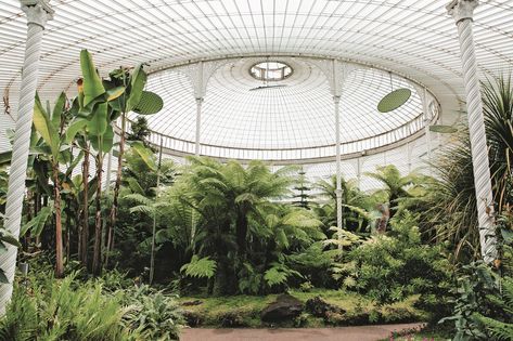 Majestic Conservatories and Cozy Private Potting Sheds Showcase the Universal Appeal of Glass Greenhouses | Colossal Glasgow Botanical Gardens, Dune Garden, Glasgow Botanic Gardens, Victorian Greenhouses, Adventurer's Guild, Conservatory Greenhouse, Best Greenhouse, Glasgow City, Greenhouse Wedding