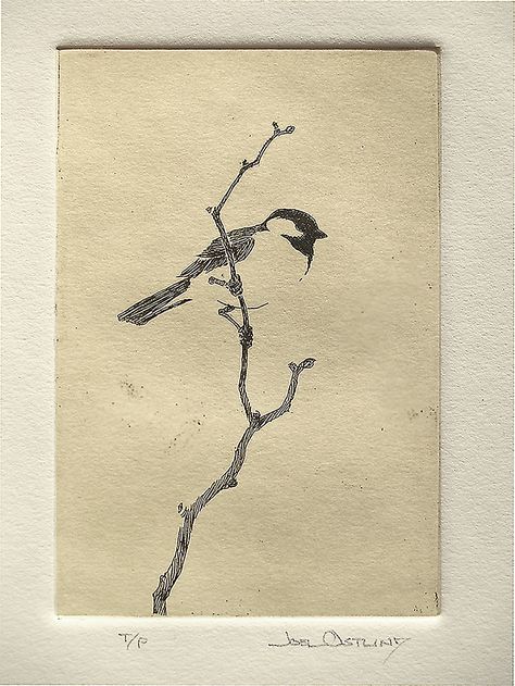 Joel Ostlind, "Chickadee T/P" Copper Plate Etching 6"x 4" Chickadee Illustration, Chickadee Drawing, Copper Plate Etching, Birds Robin, Paper Exhibition, Poked Tattoo, Dean Mitchell, Japan Drawing, Herding Cattle